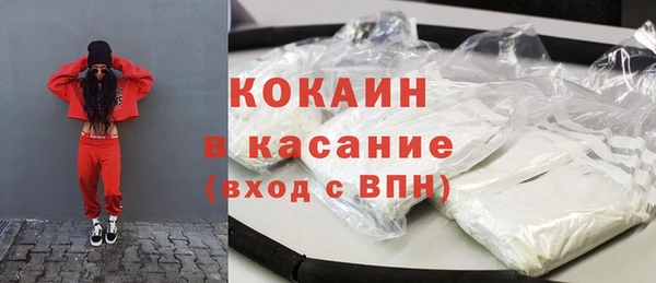 твердый Няндома